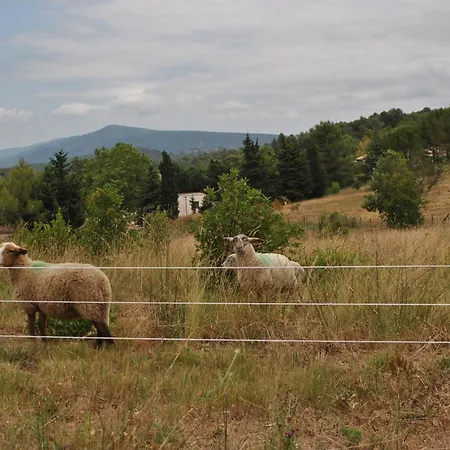 فندق مبيت وإفطار D'hotes & Le Relais De La Cavayere