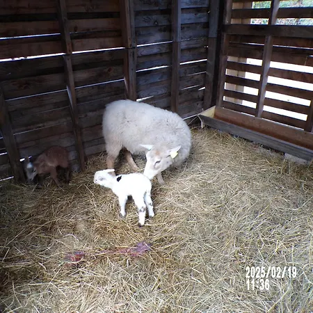 D'hotes & Le Relais De La Cavayere قرقشونه