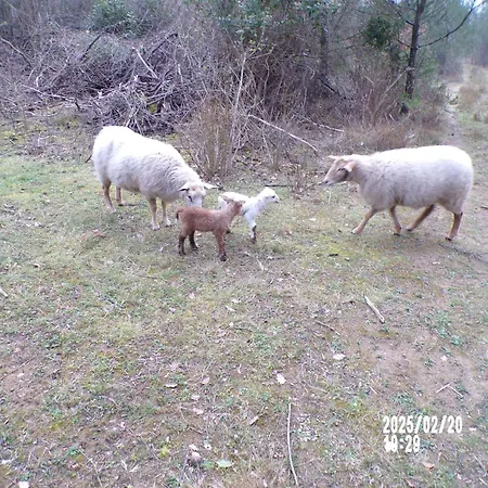 D'hotes & Le Relais De La Cavayere 4* قرقشونه