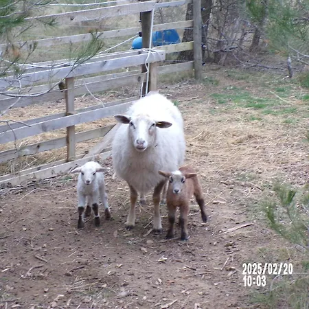 B&B D'hotes & Le Relais De La Cavayere