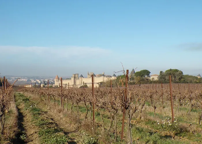 Le Relais De La Cavayere 4*