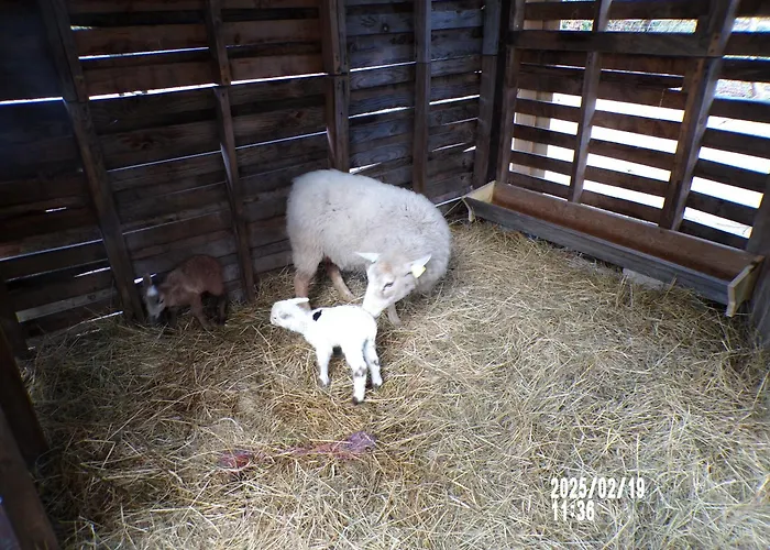 Le Relais De La Cavayere Carcassonne